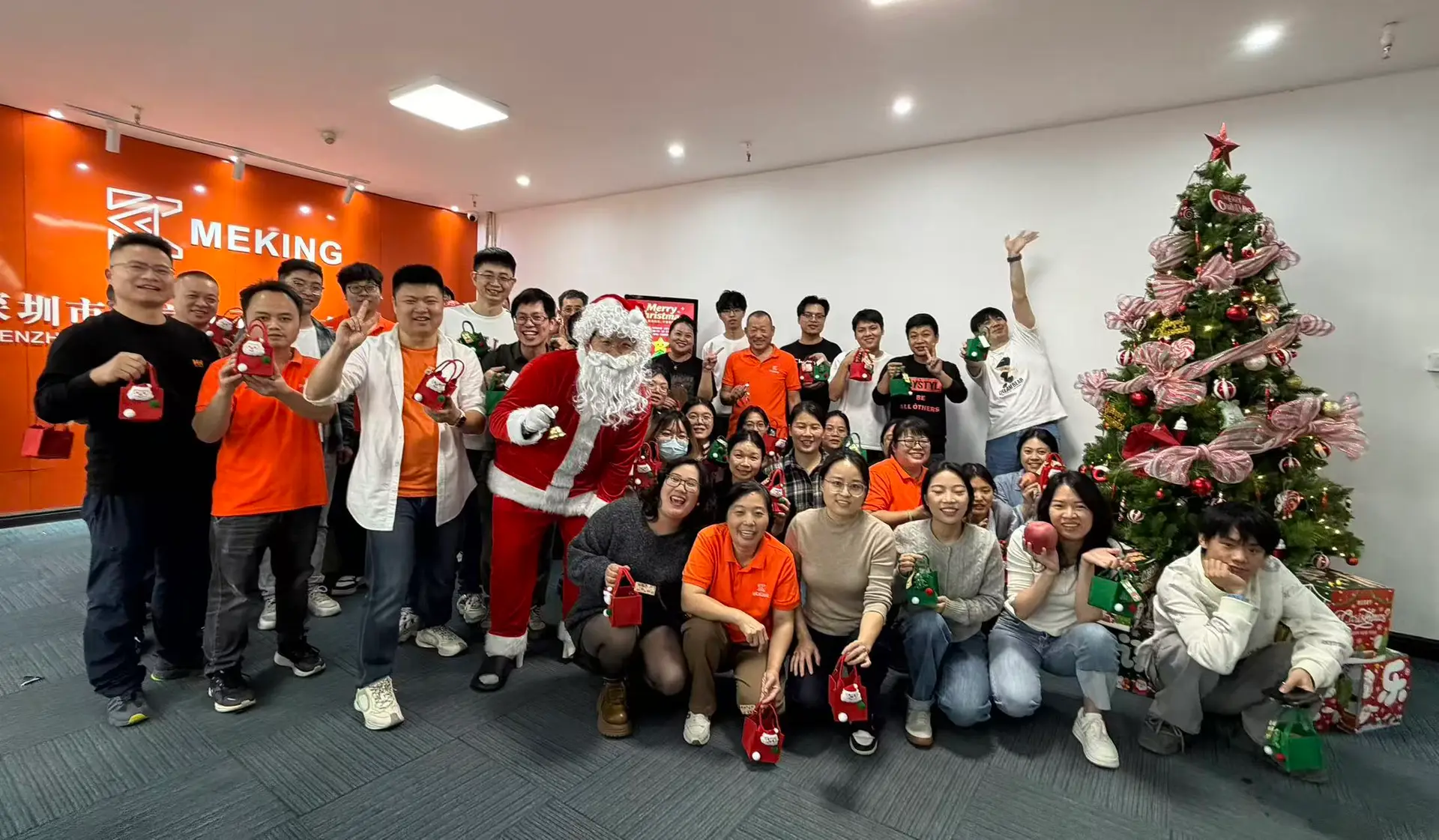 Professional growth at MEKING